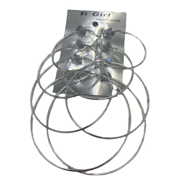 Small Silver Hoop Earrings